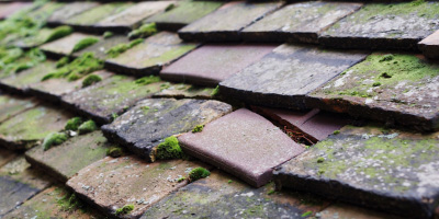 Bottesford roof repair costs